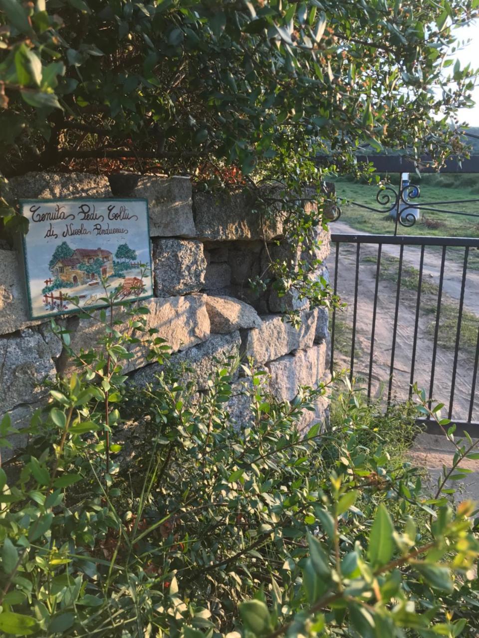 Villa Peditoltu 奧爾比亞 外观 照片